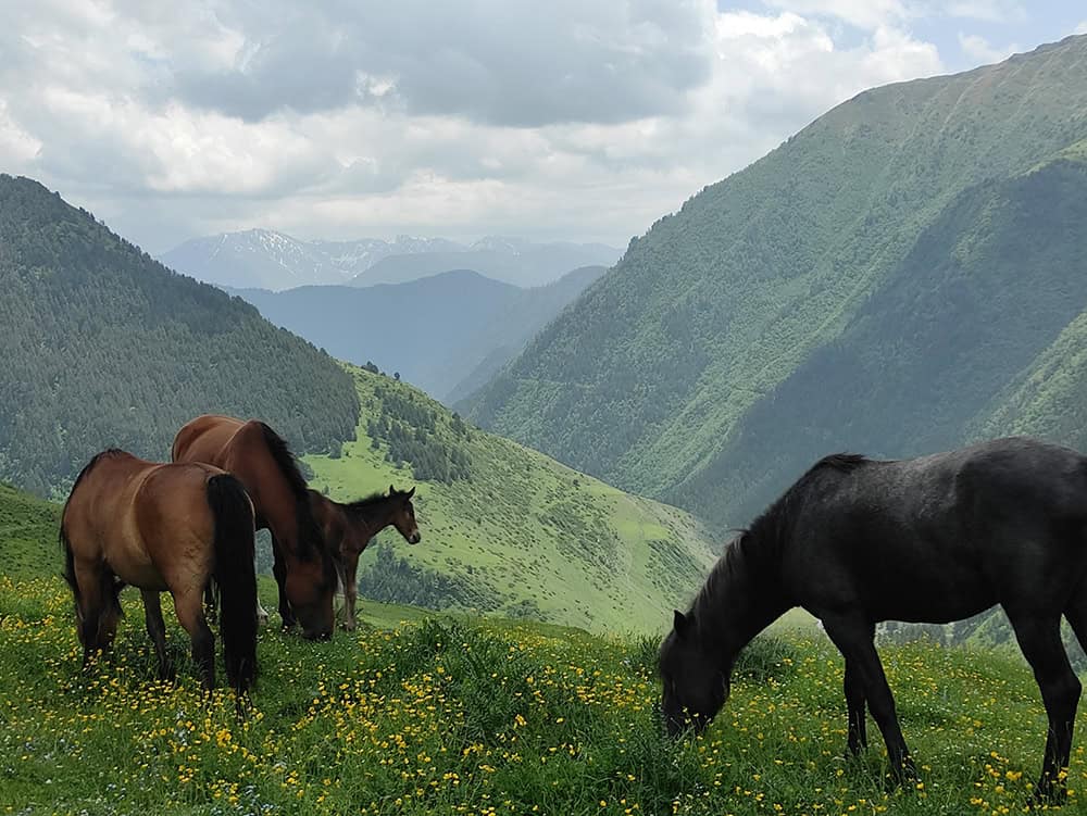 Tusheti and Svaneti